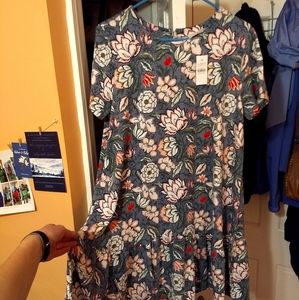 NWT Shift Dress